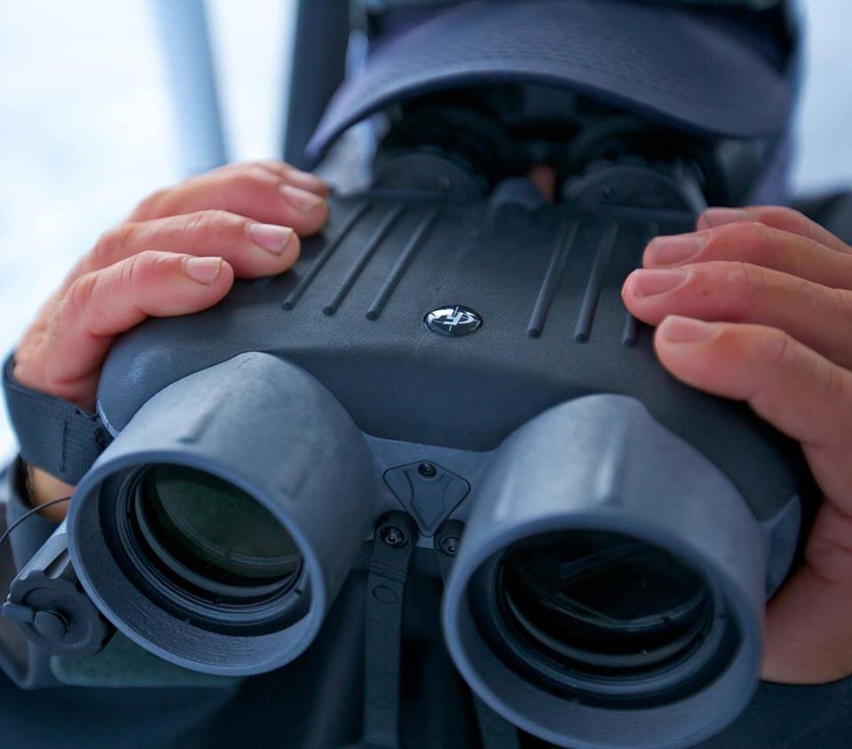 GyroPros's profile picture. 