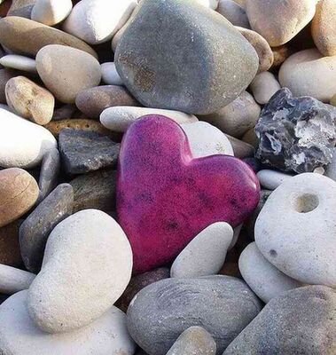 amoli_1431's profile picture. 