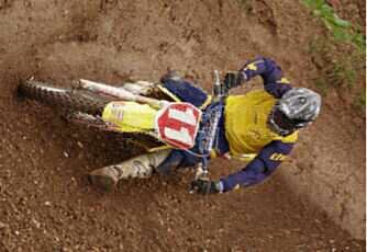 if you cant run with the big dogs dont piss up the tall trees
