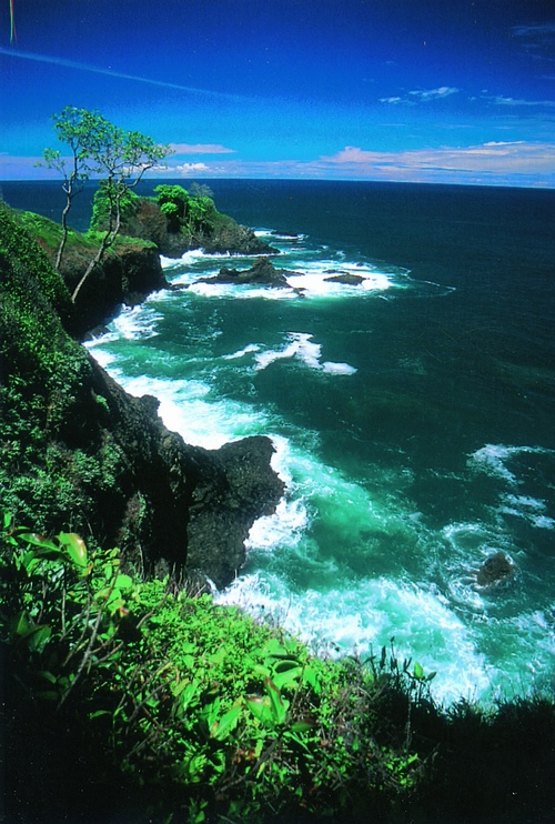 IslaParidita's profile picture. Isla Parida is an all-inclusive PRIVATE Island.