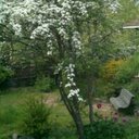 Amelia Aparicio - @11d319361292441 - Twitter