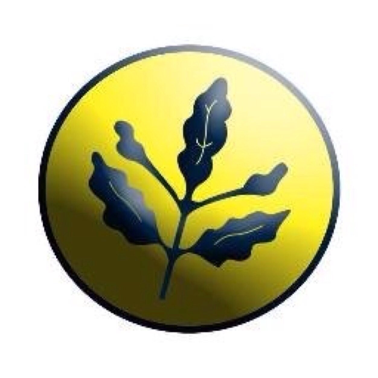 Ne kavgam bitti, ne sevdam. 1907 FENERBAHÇE