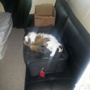 Scott clutter - @scott_clutter - Twitter