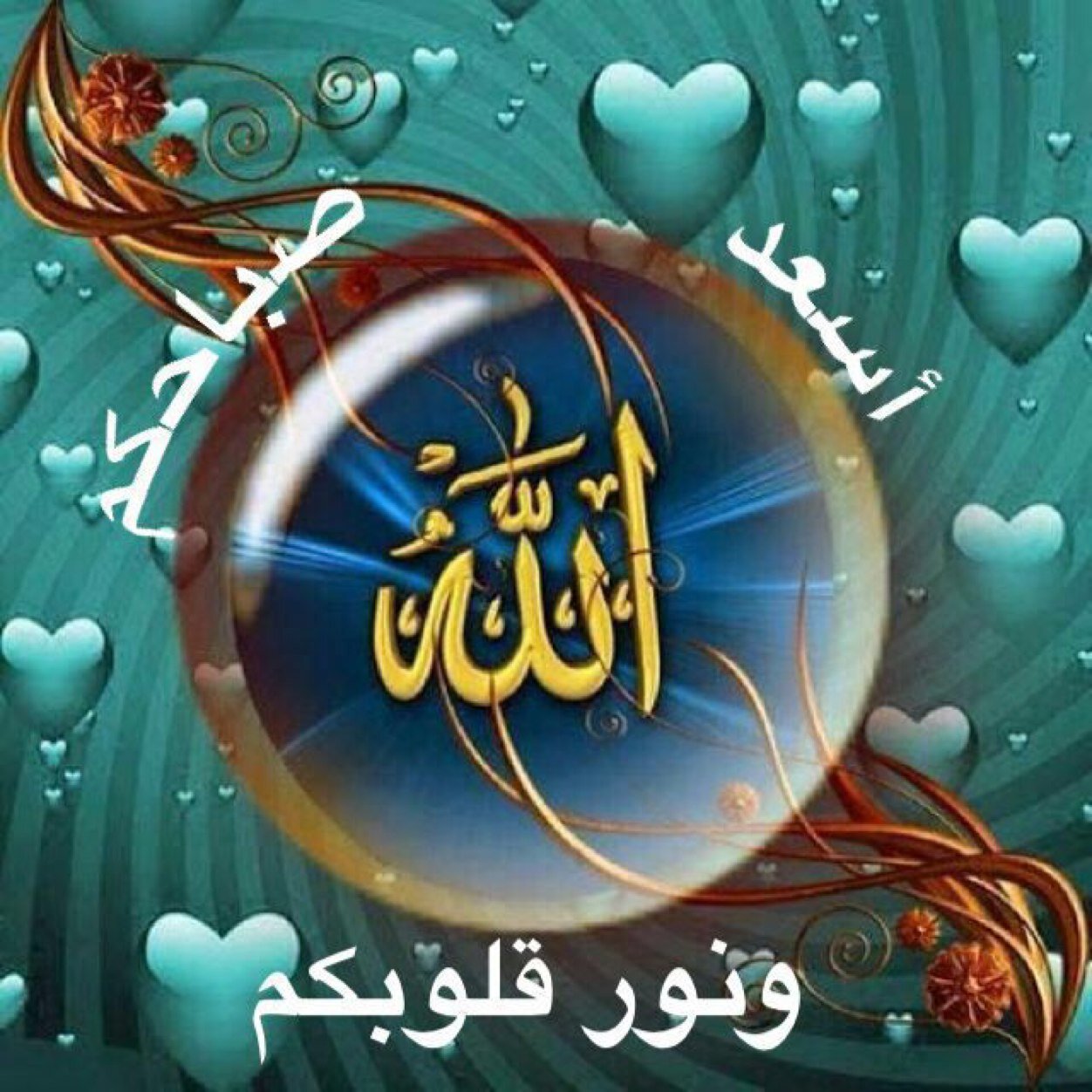 موظفة متقاعده / ماجستير إدارة وتخطيط تربوي