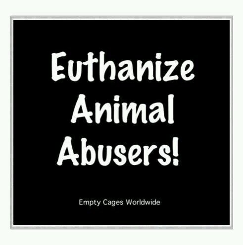 animalabusewar Profile Picture