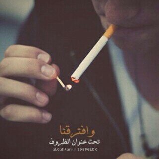 x5masx20C4ABD2's profile picture. 