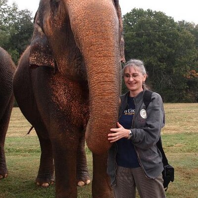 AngieForward's profile image