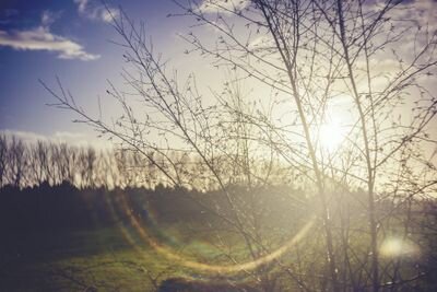 mootaal's profile picture. Scientist/Butterfly Effect/Irreversible chaotic reality/Honesty/What makes you happy?