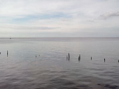 viviendo del laburo