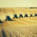 Farmer / Plumber / Sask