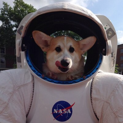 space puppies space puppy hudson spacepup hudson space puppies space puppy hudson spacepup hudson