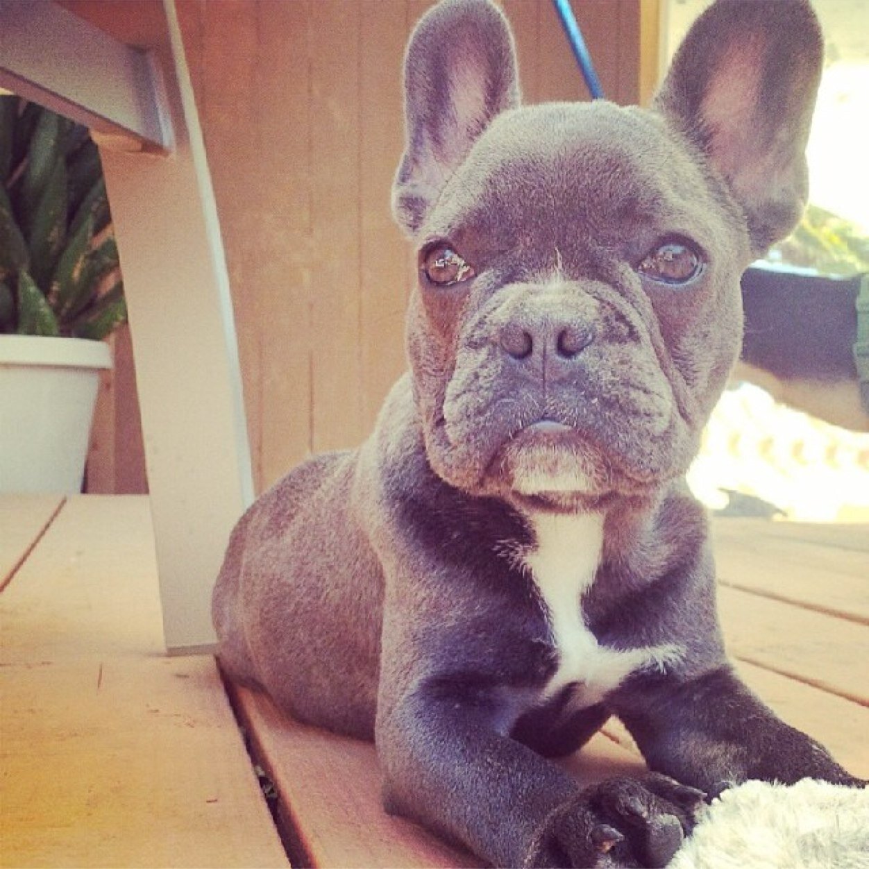 All about him :) Frankie❤️