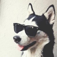 j scan (@joe_scan) 's Twitter Profile