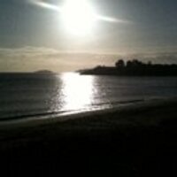 Tracey Summerell (@tescrivener) 's Twitter Profile