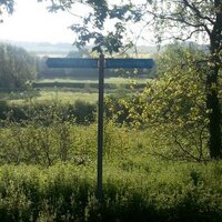 Andrew Robbins (@androbbins) 's Twitter Profile