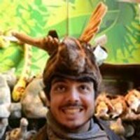 breno (@wildgaru) 's Twitter Profile Photo