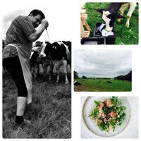 Thorsten J Schmidt (@schmidtsbarr) 's Twitter Profile