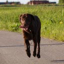 Thomas Amberg - @mumsltom - Twitter