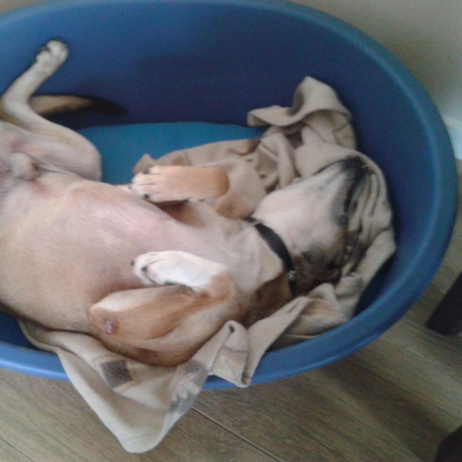 willybrooks's profile picture. likes;  celtic, beer, & fishing......S/T section 142.