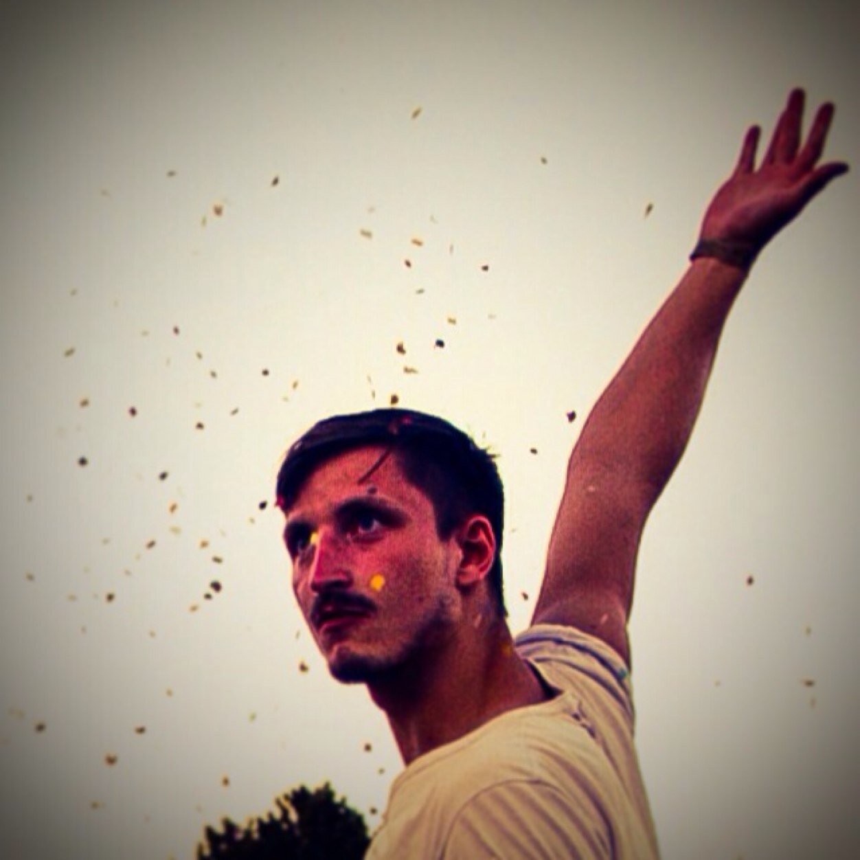 MaderDavid's profile picture. 