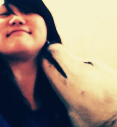 noda_nae's profile picture. Love Ghibli animation, japanese culture & your little sister Meg-ko 🐾🐕💕
よろしくね🐭🌟