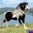m989796m's profile image