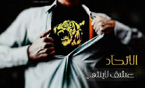 اتحاديه وبكيفي .ولي موعاجبه يصقع راسه بالجدار .هههههههه يستاااهل