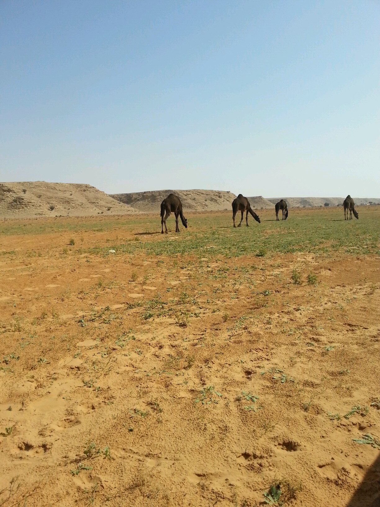 dhjadg6's profile picture. 