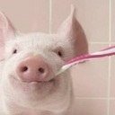 alineiacoronel's profile picture. D.I. amante de los perros, el fut, los videojuegos y los tacos.