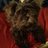 marlie_lambert's profile image