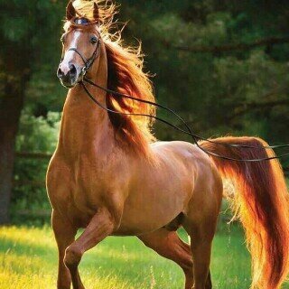 ‏‏‏‏‏‏اذا اردت ان يلين قلبك ف اطعم المسكين وامسح راس اليتيم♡ شيئين لا حرّية تعبير فيهما ولا حرية نقد ؟خلقة الله وأعراض البشر (ماينتهي ب#عآبره فهو من كتاباتي).