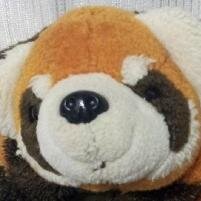 身近にあるモノや出来事・・・気になったことを、即座にアップします！テレビや芸能関係も好きです！どんどん、つぶやいていこうと思います(^○^)