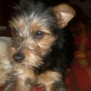 Francisco Jose Nogue - @GomezNogue - Twitter