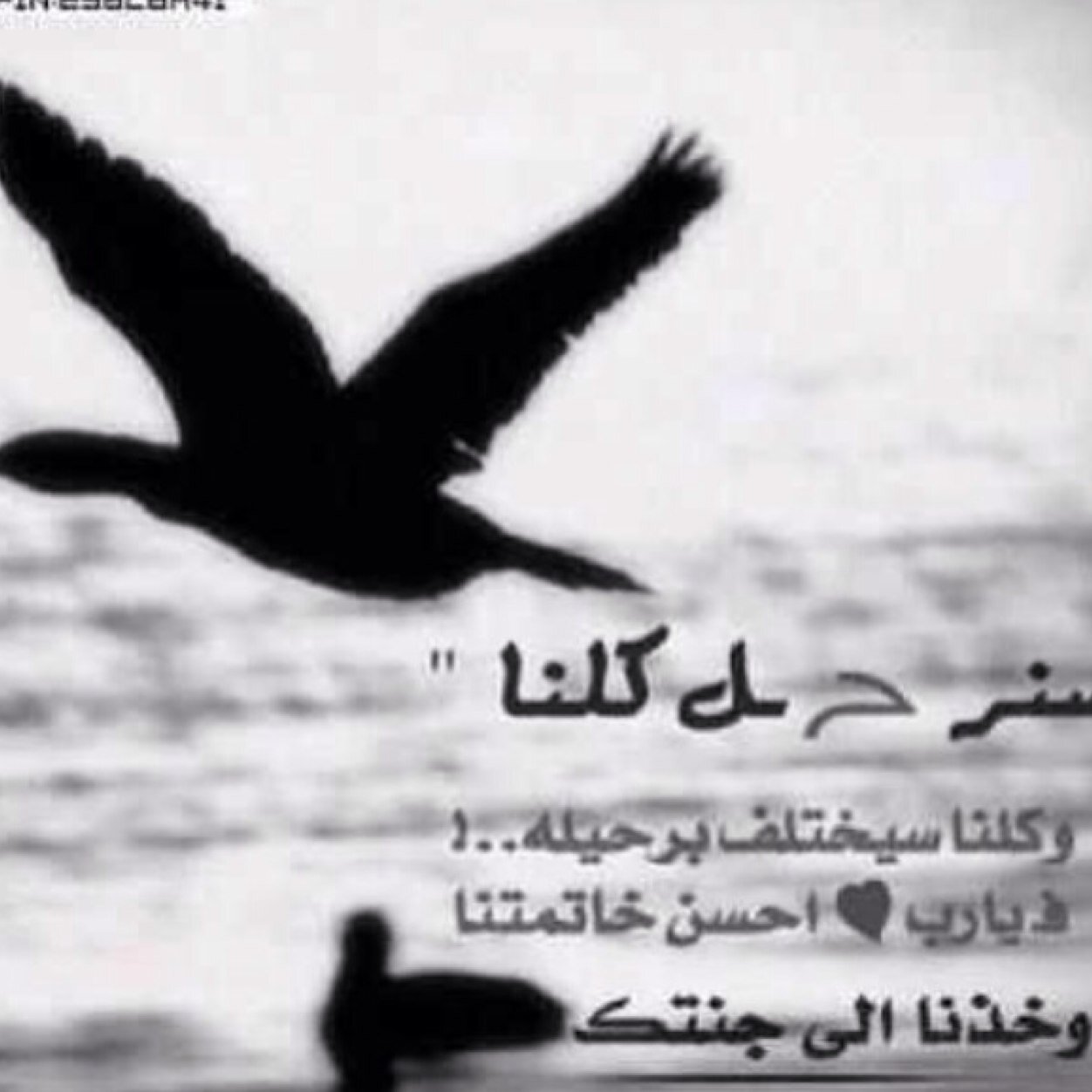 أمّٓوآتـُنآ آلْرَآحِلَونْ..لآأبگِيگُم إعَترآضاً.إنَّمآ فقَداً واشَتِيآقاً❤️