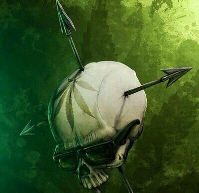 dales420's profile picture. Player of the PS4, follower of @PAFC @MiamiHeat @LFC