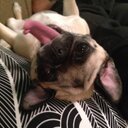 edith charles - @edithchainsaw - Twitter