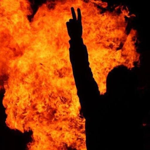 Soldurmadan Gül'ü GÜNEŞ'e Tebessümle