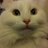 sunray6838's profile image