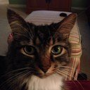 Ellen Gregorio - @EllenGreg14 - Twitter