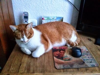 mascara197718's profile picture. 