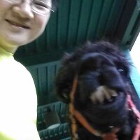 Michael Chi (@michaelchi49chi) 's Twitter Profile