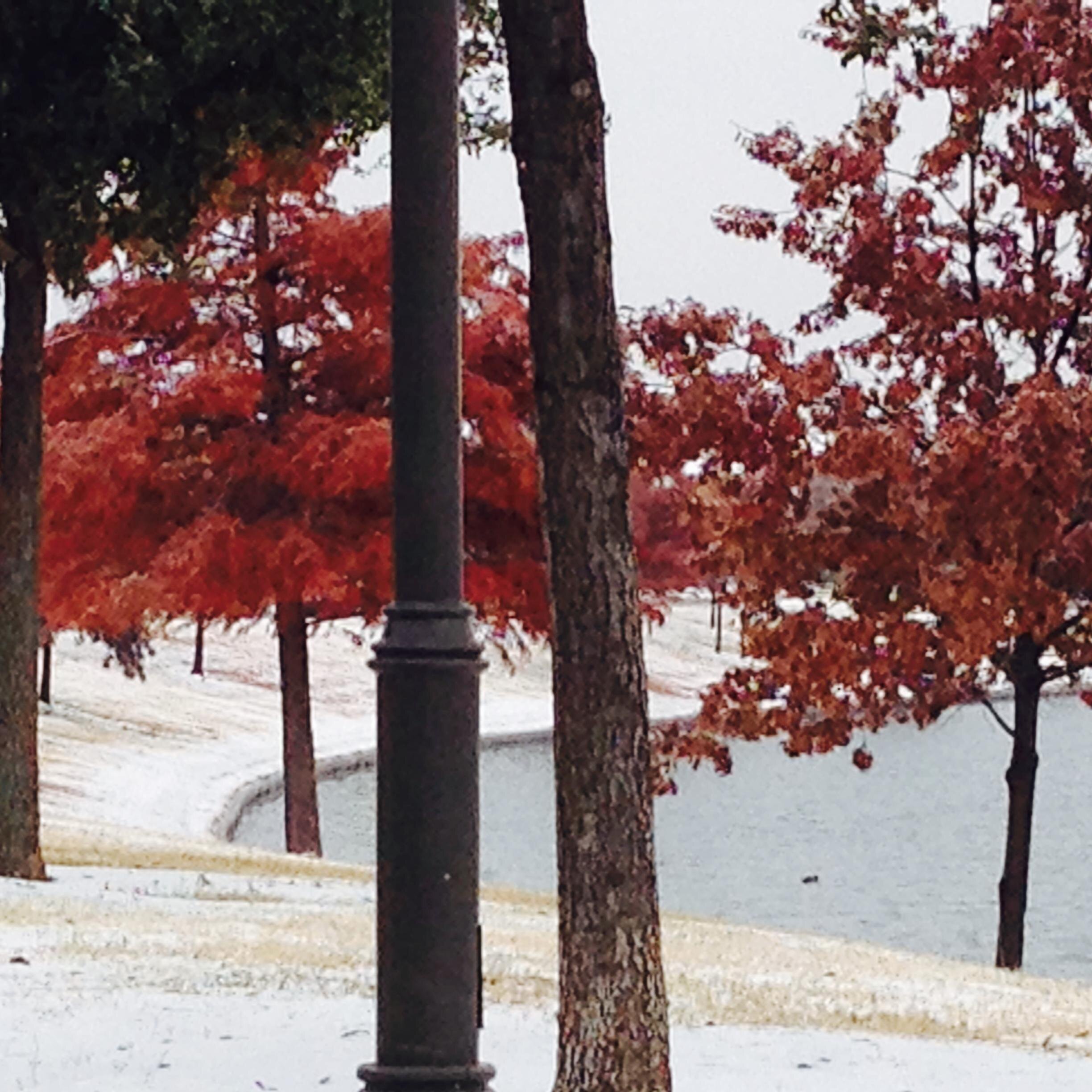 hsiaoWeb's profile picture. 