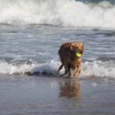 Cathi Miller Davis - @CathiMDavis - Twitter