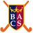 BACSHockey's profile image