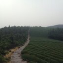 Aaron Peng - @PengRunji - Twitter