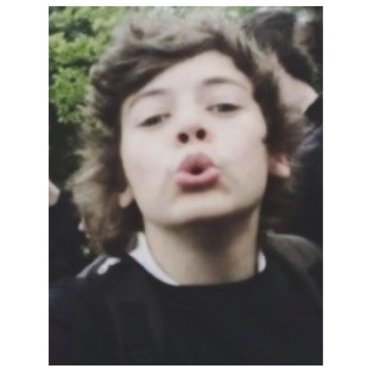 free follow from @capriciouslarry