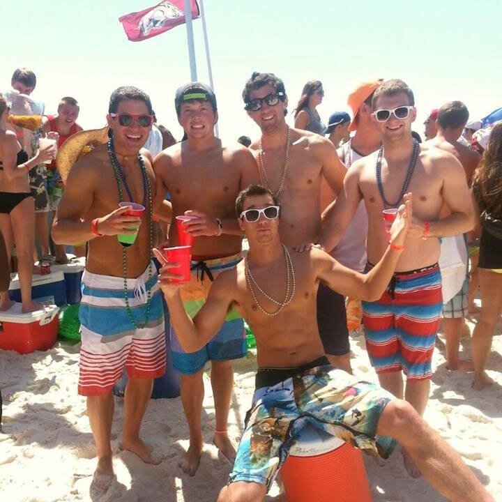 ObermierDylan's profile picture. Twitter account for CSIT388