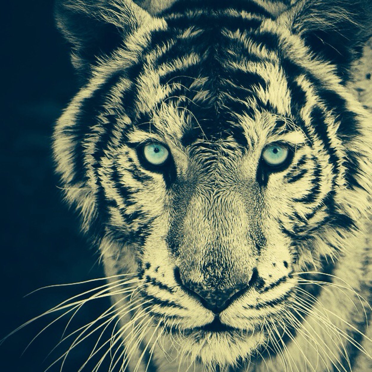 MarvinMoisa's profile picture. 