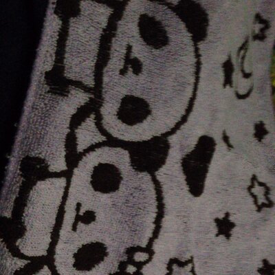 さえち。