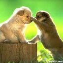 Doris Ponce - @HeidiDoris21 - Twitter